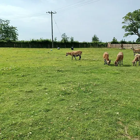 View بيت خشبي