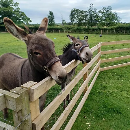 Jaktstuga View Wigton